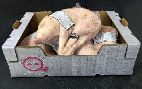 Saldēts sivēns ~ 4-6 kg