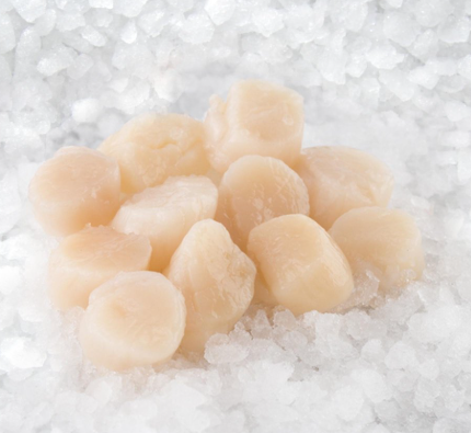 Jūras ķemmīšu gaļa, Japāna, spainis, saldēta, 10/20, glazūra 20%, 800g/1kg