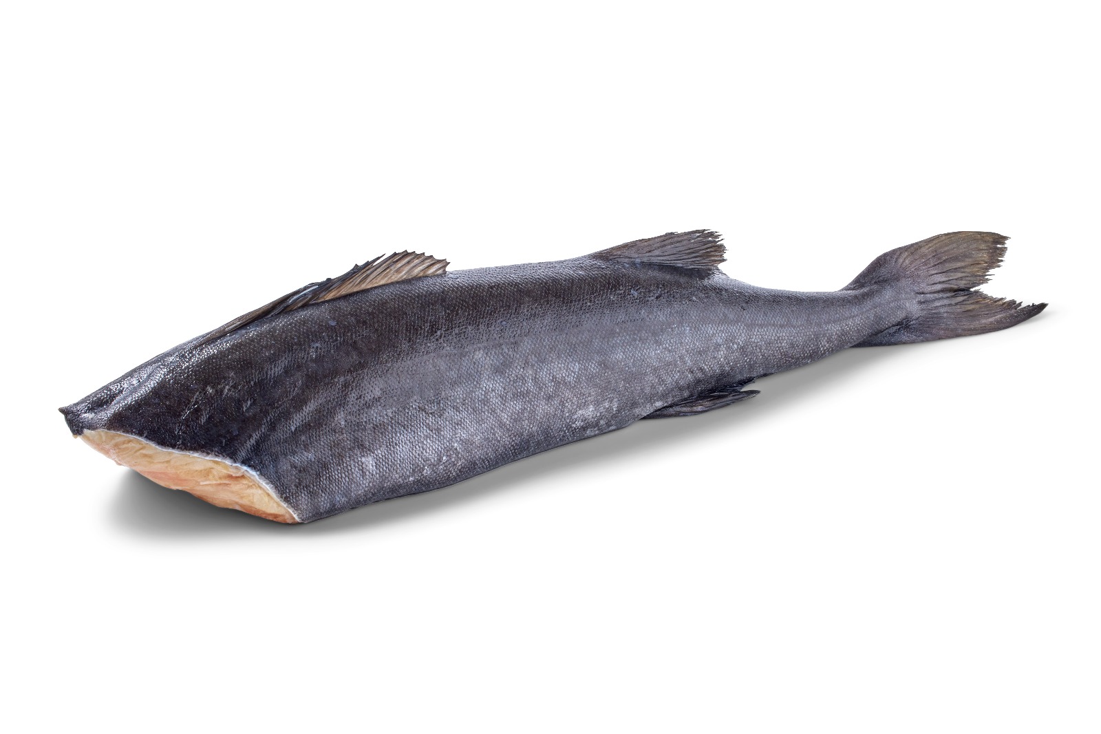 Melnā menca (Black Cod), saldēta, ķidāta, bez galvas, vakuumā, ~2.2kg